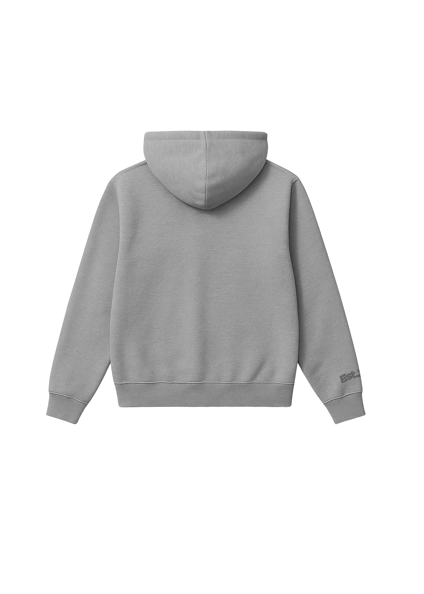 WDNC Puff Print Hoodie